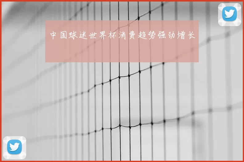 中国球迷世界杯消费趋势强劲增长