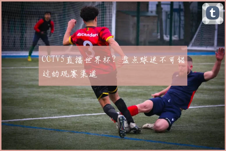 CCTV5直播世界杯？盘点球迷不可错过的观赛渠道