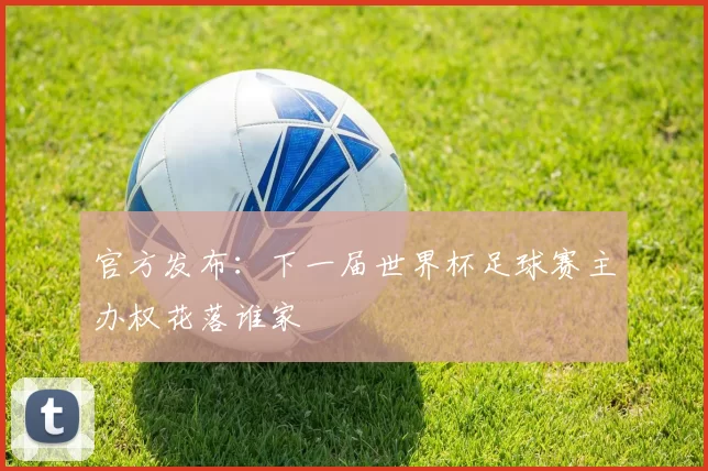 官方发布:下一届世界杯足球赛主办权花落谁家