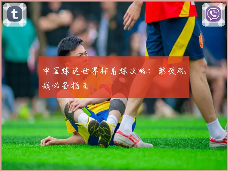 中国球迷世界杯看球攻略：熬夜观战必备指南