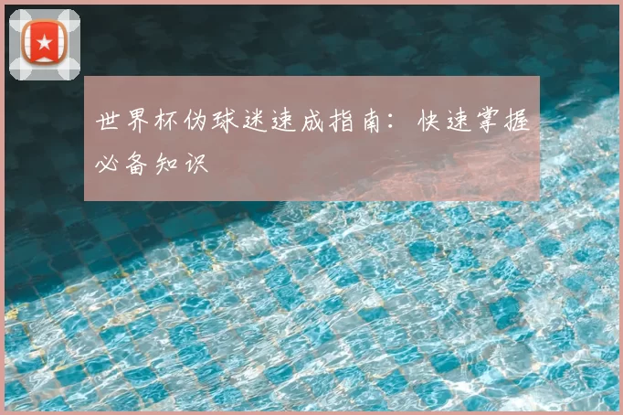 世界杯伪球迷速成指南:快速掌握必备知识