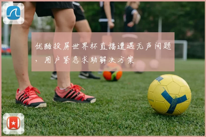 优酷投屏世界杯直播遭遇无声问题,用户紧急求助解决方案