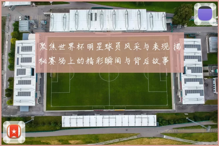 聚焦世界杯明星球员风采与表现 揭秘赛场上的精彩瞬间与背后故事