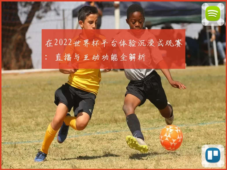 在2022世界杯平台体验沉浸式观赛：直播与互动功能全解析
