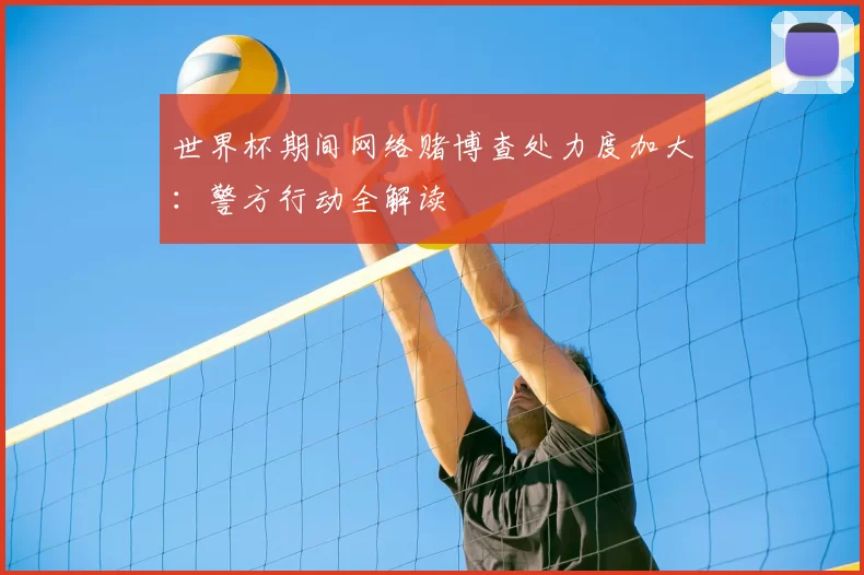 世界杯期间网络赌博查处力度加大:警方行动全解读