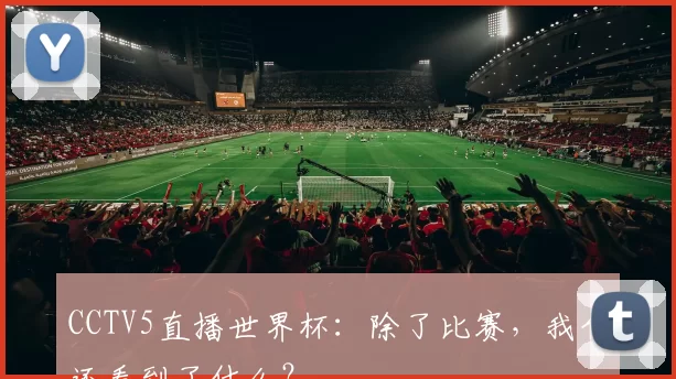 CCTV5直播世界杯：除了比赛，我们还看到了什么？