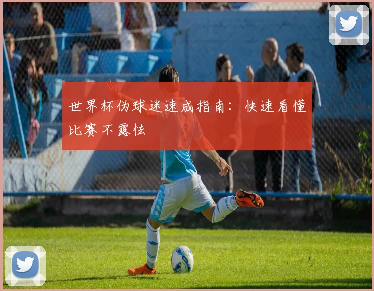 世界杯伪球迷速成指南：快速看懂比赛不露怯