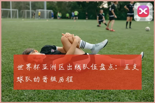 世界杯亚洲区出线队伍盘点：五支球队的晋级历程