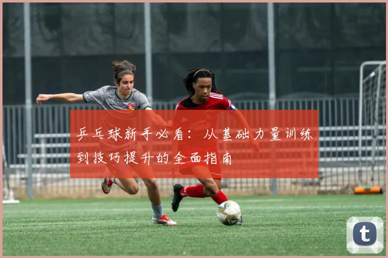 乒乓球新手必看:从基础力量训练到技巧提升的全面指南