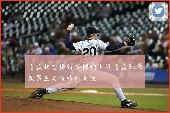 飞盘状态排行榜揭晓上海飞盘队荣获第五名佳绩引关注
