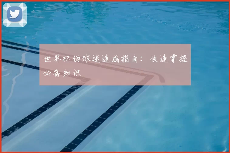 世界杯伪球迷速成指南：快速掌握必备知识