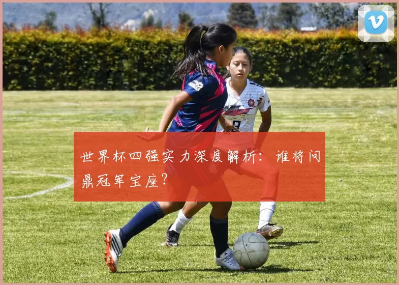 世界杯四强实力深度解析:谁将问鼎冠军宝座?