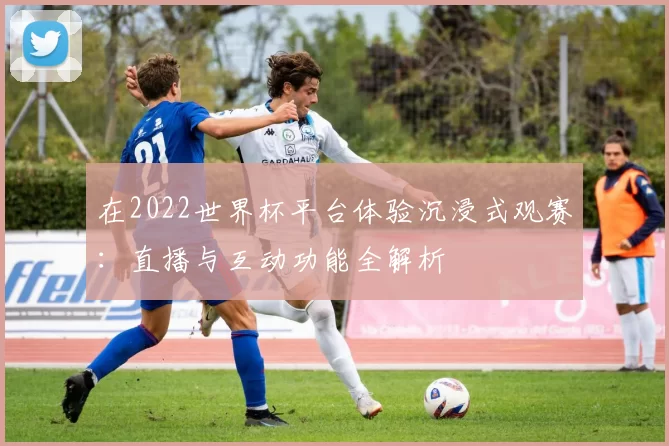 在2022世界杯平台体验沉浸式观赛:直播与互动功能全解析