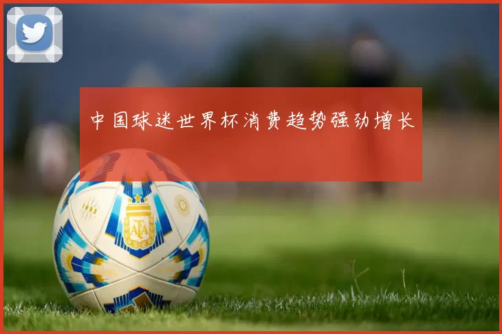 中国球迷世界杯消费趋势强劲增长