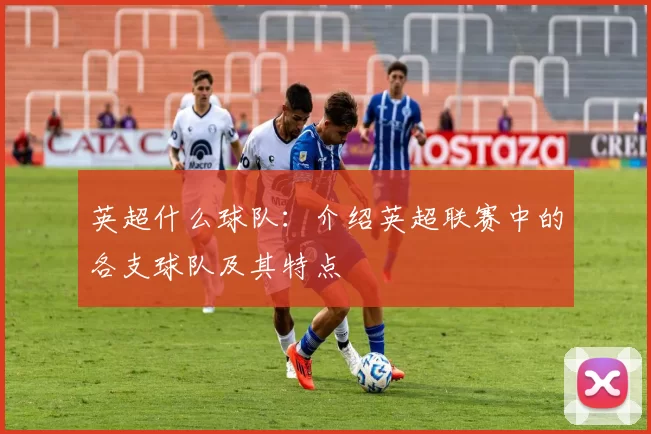 英超什么球队:介绍英超联赛中的各支球队及其特点